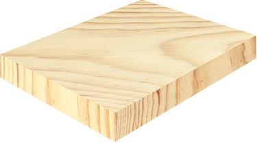 Тип деревини